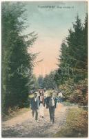Tusnádfürdő, Baile Tusnad; Régi országút. Dragomán S. J. kiadása / road