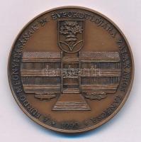 Bognár György (1944-) 1990. "Heilbad Gránit Gyógyfürdő Zalakaros / A fürdő megnyitásának 25. év...