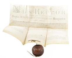 1867 Hümpfner József kalocsai főorvos, Kismarty-Lechner Loránd apósának pergamen orvosi diplomája függő viaszpecséttel