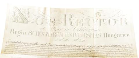 1867 Hümpfner József kalocsai főorvos, Kismarty-Lechner Loránd apósának pergamen orvosi diplomája fü...