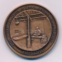 Lapis András (1942-) 1988. "10 éves a dunakeszi Kőrösi Csoma Sándor Általános Iskola / Egy szeg...