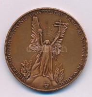 Bozó Gyula (1913-2004) 1996. "Ezeréves az Apostoli Szentszék és Magyarország kapcsolata / Millenarium relationis apostolicae sanctae sedis et Hungariae" kétoldalas bronz emlékérem (42,5mm) T:AU kis patina