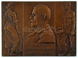 Svájc 1907. "Heinrich Haggenmacher 1827-1907 / Geburtshaus unseres lieben Vaters 11. Juni 1827" kétoldalas, bronz plakett. Szign.: Tautenhayn (62x85mm) T:AU Switzerland 1907. "Heinrich Haggenmacher 1827-1907 / Geburtshaus unseres lieben Vaters 11. Juni 1827" double-sided bronze plaque. Sign.: Tautenhayn (62x85mm) C:AU