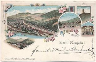 1900 Mehádia, Mehadia; Várrom, pályaudvar, vasútállomás, Forrás utca, Brauch A. fia üzlete. Újévi üdvözlettel / Partie mit Bahnhof, Brunnenstrasse, Schlossruine. Prosit Neujahr! / railway station, shop, street, castle ruins with New Year greetings. Kunstanstalt Karl Schwidernoch Art Nouveau, floral, litho (EK)