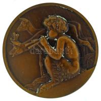 Franciaország 1930 k. Őzeknek zenélő fiatal Pant ábrázoló egyoldalas, bronz emlékérem. Szign.: Francois Maurice Thenot (50mm) T:AU France ~1930. Young Pan playing music for Deers. One-sided bronze medallion. Sign.: Francois Maurice Thenot (50mm) T:AU