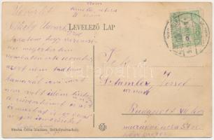 1911 Székelyudvarhely, Odorheiu Secuiesc; Orbán Balázs utca a vashíddal. Sterba Ödön kiadása / stree...