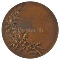 Svájc DN "Tell" kétoldalas bronz emlékérem, "Huguenin" gyártói jelzéssel (50mm) ...