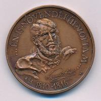 Sebestyén Sándor (1949-2010) 1989. "MÉE - 200 éves a sátoraljaújhelyi Kossuth Lajos Gimnázium / '... Én is a növendékük voltam...' 1810-1816" kétoldalas bronz emlékérem (42,5mm) T:AU patina