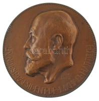 Ausztria 1925. "Bundespraesident Dr. Michael Hainisch" egyoldalas bronz emlékérem. Szign.: Rudolf Schmidt (60mm) T:AU Austria 1925. "Bundespraesident Dr. Michael Hainisch" one-sided bronze commemorative medallion Sign.: Rudolf Schmidt (60mm) C:AU