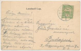 1908 Orsova, Ozanic szálloda / hotel (fa)