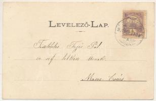 1901 Torda, Turda; Cellulózgyár / cellulose factory, pulp factory (fa)