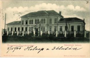 1900 Temesvár, Timisoara; Erzsébetváros, Siketnémák intézete. Bernárd E. fényképész felvétele, Králicsek Béla kiadása / Institute for the Deaf and Mute