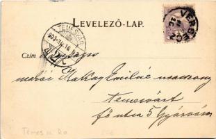 1900 Temesvár, Timisoara; Erzsébetváros, Siketnémák intézete. Bernárd E. fényképész felvétele, Králi...