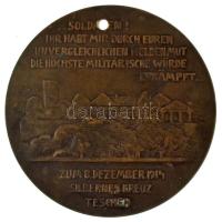 Ausztria 1914. "Erzherzog Friedrich Herzog von Teschen Feldmarschall / ...Soldaten! Ihr habt mi...