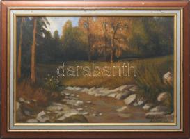 Váradi Gábor (1958-): Erdei táj. Olaj, vászon. Jelzett, sérült 64x43 cm. Dekoratív, kissé kopott fakeretben.