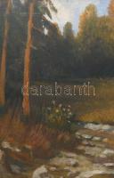 Váradi Gábor (1958-): Erdei táj. Olaj, vászon. Jelzett, sérült 64x43 cm. Dekoratív, kissé kopott fak...