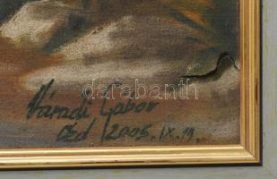 Váradi Gábor (1958-): Erdei táj. Olaj, vászon. Jelzett, sérült 64x43 cm. Dekoratív, kissé kopott fak...