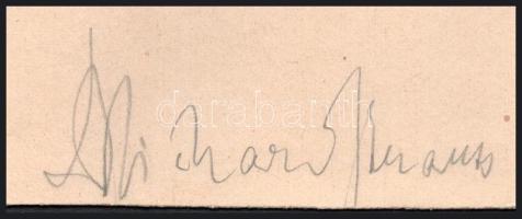 cca 1930 Richard Strauss (1864-1949) német zeneszerző, karmester aláírt fotója, Vajda M. Pál felvéte...