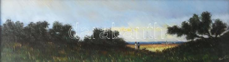 Klement Zoltán (1967-): Táj. Olaj, farost, jjl.: Klement 15x50 cm