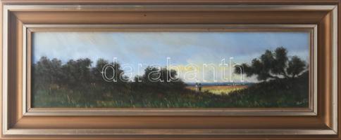 Klement Zoltán (1967-): Táj. Olaj, farost, jjl.: Klement 15x50 cm