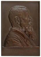 Ausztria 1910. "Daniel Christian ritter von Rothermann" egyoldalas bronz plakett. Szign.: Edmund Hofmann (80x56mm) T:AU Austria 1910. "Daniel Christian ritter von Rothermann" one-sided bronze plaque. Sign.: Edmund Hofmann (81x56mm) C:AU