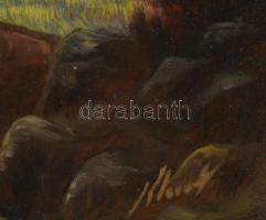 Klement Zoltán (1967-): Táj. Olaj, farost, jjl.: Klement 13x20,5 cm