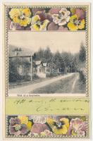 1901 Brassó, Kronstadt, Brasov; Noa, út a fenyvesbe. Szecessziós-virágos litho keret / Noua. Art Nouveau, floral litho frame (EK)