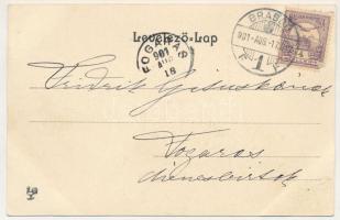 1901 Brassó, Kronstadt, Brasov; Noa, út a fenyvesbe. Szecessziós-virágos litho keret / Noua. Art Nou...