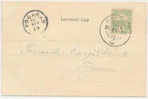 1903 Brassó, Kronstadt, Brasov; Római katolikus főgimnáziun. Szecessziós litho keret magyar zászlóva...