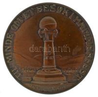 Norvégia 1929 k. "Til minde om et besok i Hammerfest - Meridianstotten / Til minde om at - Har ...