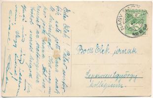 Nagybacon, Nagy-Baczon, Batanii Mari; Mokán Tódor lakása, üzlet / villa, shop (ragasztónyomok / glue...