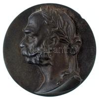 1900 k. Ferenc József babérkoszorús portréját ábrázoló Fe emlékérem (74mm) T:XF ph., rozsda