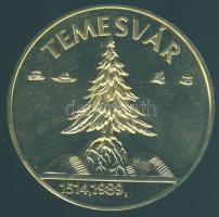1991. "Erdély - Temesvár" aranyozott, piefort (vastag) emlékérem T:BU csak 2000db, eredeti tokban, tanúsítvánnyal!