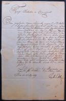 1809 Helytartótanácsi levél József nádor saját kezű aláírásával / Ex offo letter with autograph signature of Josephus palatin