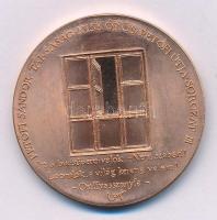 Lapis András (1942-) 1988. "MÉE Kiskőrösi Csoportja / Petőfi útja sorozat III. - Útkeresés"...