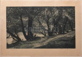 Simon Zoltán (1950-): Horgászösvény. Rézkarc, papír, kartorna kasírozva, jelzett, 30x48 cm