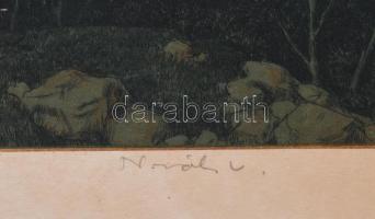 Novák Lajos (1927-1989) Dunakanyar. Rézkarc, papír, kartorna kasírozva, jelzett, 35x48 cm