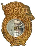 Szovjetunió1960-1970 k. "Szovjet Gárda jelvény" aranyozott, zománcozott fém jelvény csavar...