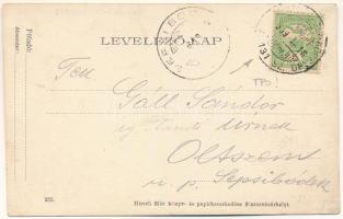 1909 Marosvásárhely, Targu Mures; Kossuth Park és Széchenyi tér, Peteli János, Nuridsányi János, Izm...