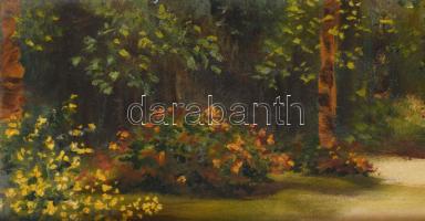 Szabó Éva: Arborétum. Olaj, farost, jelzett, keretben 11x60 cm