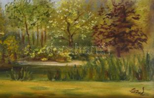 Szabó Éva: Arborétum. Olaj, farost, jelzett, keretben 11x60 cm