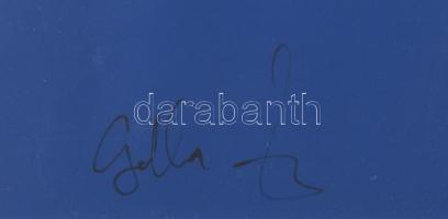 Galla Miklós (1959) : Színes vonalak. Akril, farost, jelzett, üvegezett keretben 42x58 cm