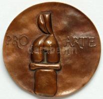 Asszonyi Tamás (1942-) szobrászművész Pro Arte bronz érme 7,5cm átmérővel