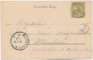 1904 Detta, Ghedu, Deta; Fő utca, híd, piac tér és tűzoltótorony. Kiadja Csokány / main street, brid...