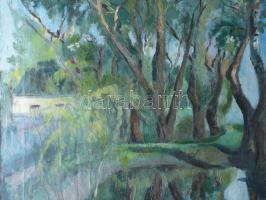 Jelzés nélkül: Erdei táj. Olaj, vászon. 76x60 cm