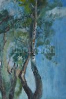 Jelzés nélkül: Erdei táj. Olaj, vászon. 76x60 cm