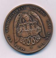 Renner Kálmán (1927-1994) 1991. "Gróf Széchenyi István 1791-1860 / MÉE XXI. Vándorgyűlése Sopro...