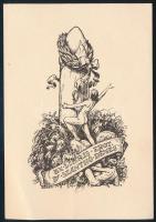 Balázsfy, Rezső (1885 - 1973): Ex libris - Erot. Dr. Szánthó Dénes, klisé, papír, jelzett a klisén, 12,8×8,9 cm