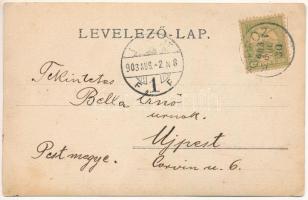 1903 Köpec, Capeni (Barót, Baraolt); Olt völgye, látkép / valley, view. photo (EM)