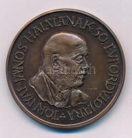 Lantos Györgyi: 1986. "Tornyai János halálának 50. évfordulójára / Hódmezővásárhely Városi Tanács MÉE" kétoldalas bronz emlékérem (42,5mm) T:AU patina, karc